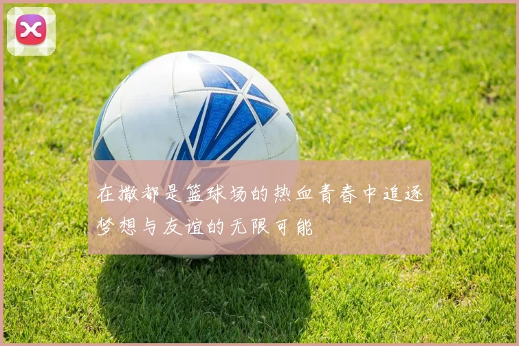 在撒都是篮球场的热血青春中追逐梦想与友谊的无限可能
