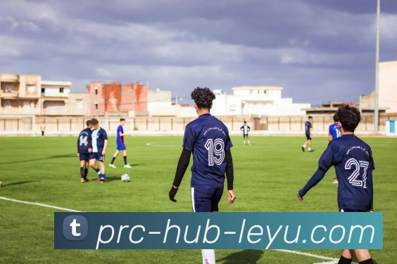 乐鱼集团发展历程